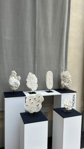 Exposition art Biennale Mirabilia Lyon au Carré Fourvière